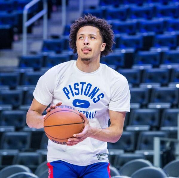 转提供了强 转提供了强