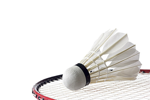 在推广全民 在推广全民