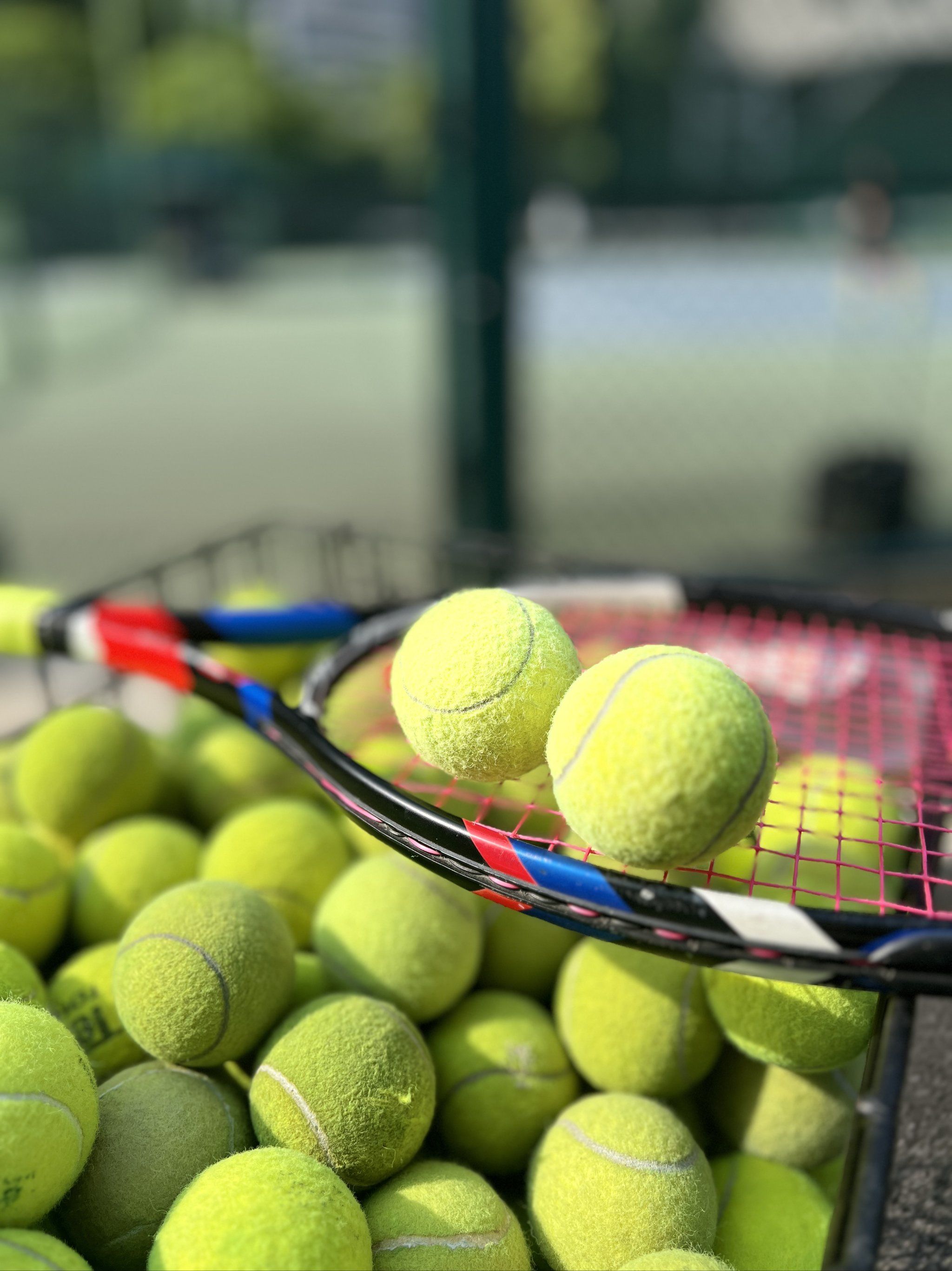 季英超和沙 季英超和沙