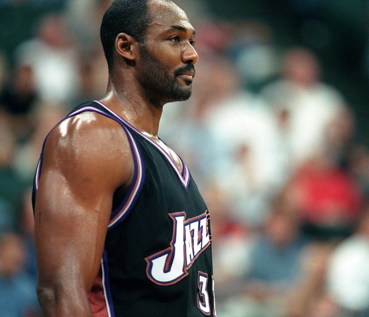 奇与赫尔曼 奇与赫尔曼